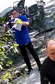 Cropped view of blue-shirt official holding phone in photo-taking position.